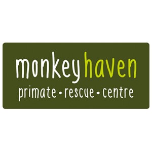 Logo for 